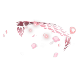 Sakura Soarer Glider
